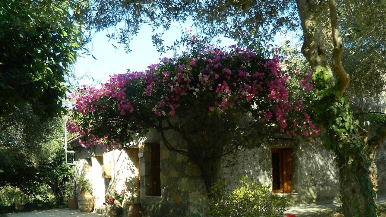 Photo of Outdoor in Maza