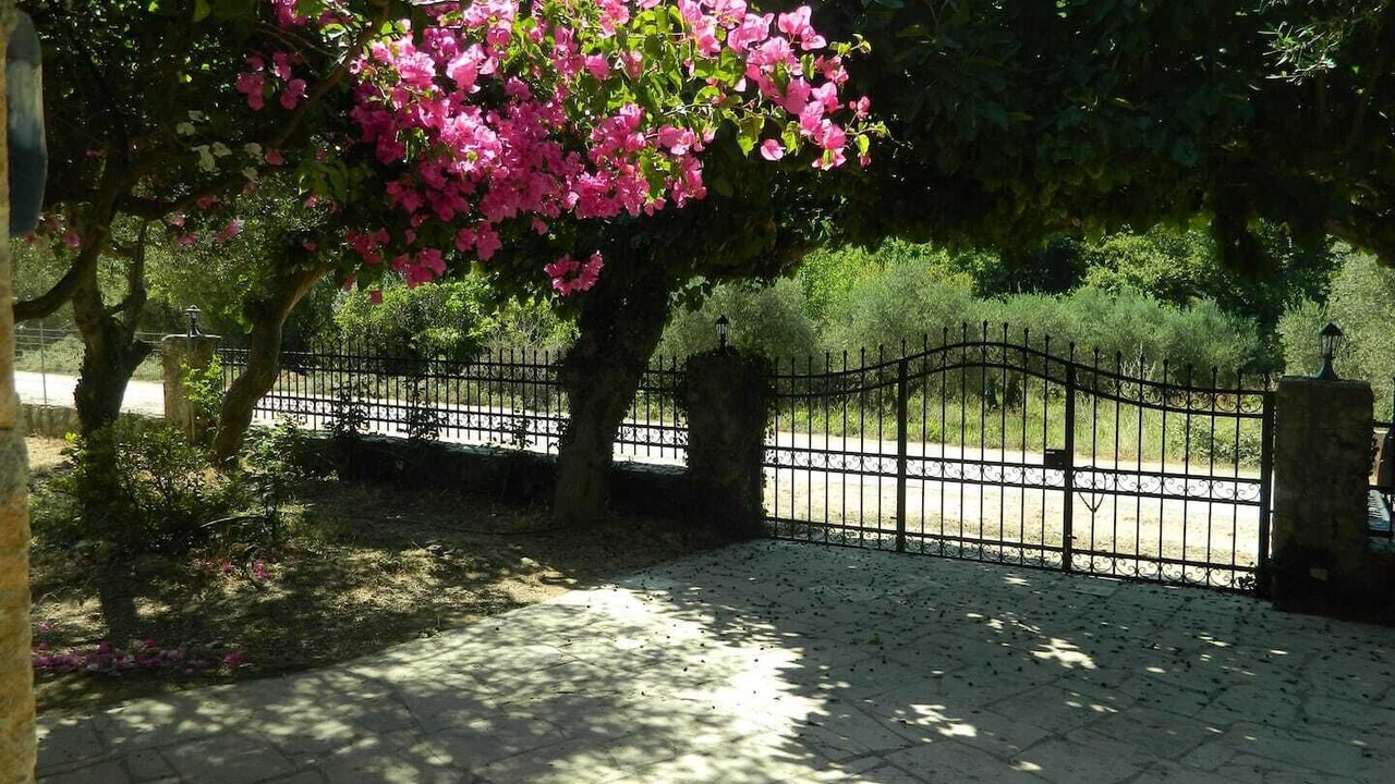 Photo of Outdoor in Maza