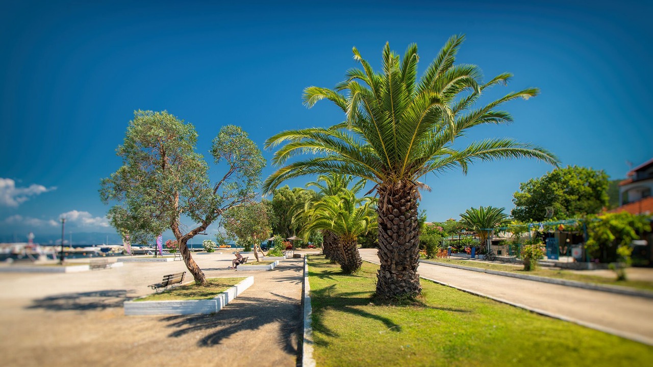 Photo of Others in Skala Rachoniou