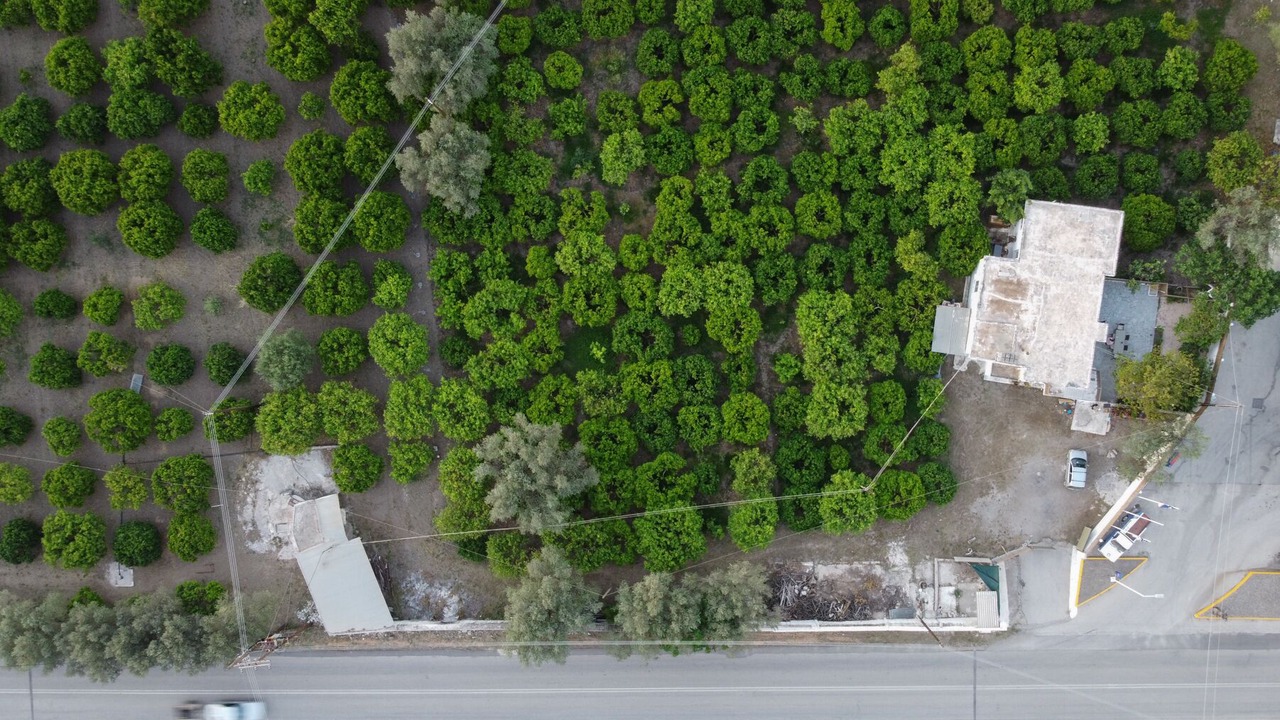 Photo of Outdoor in Galatas