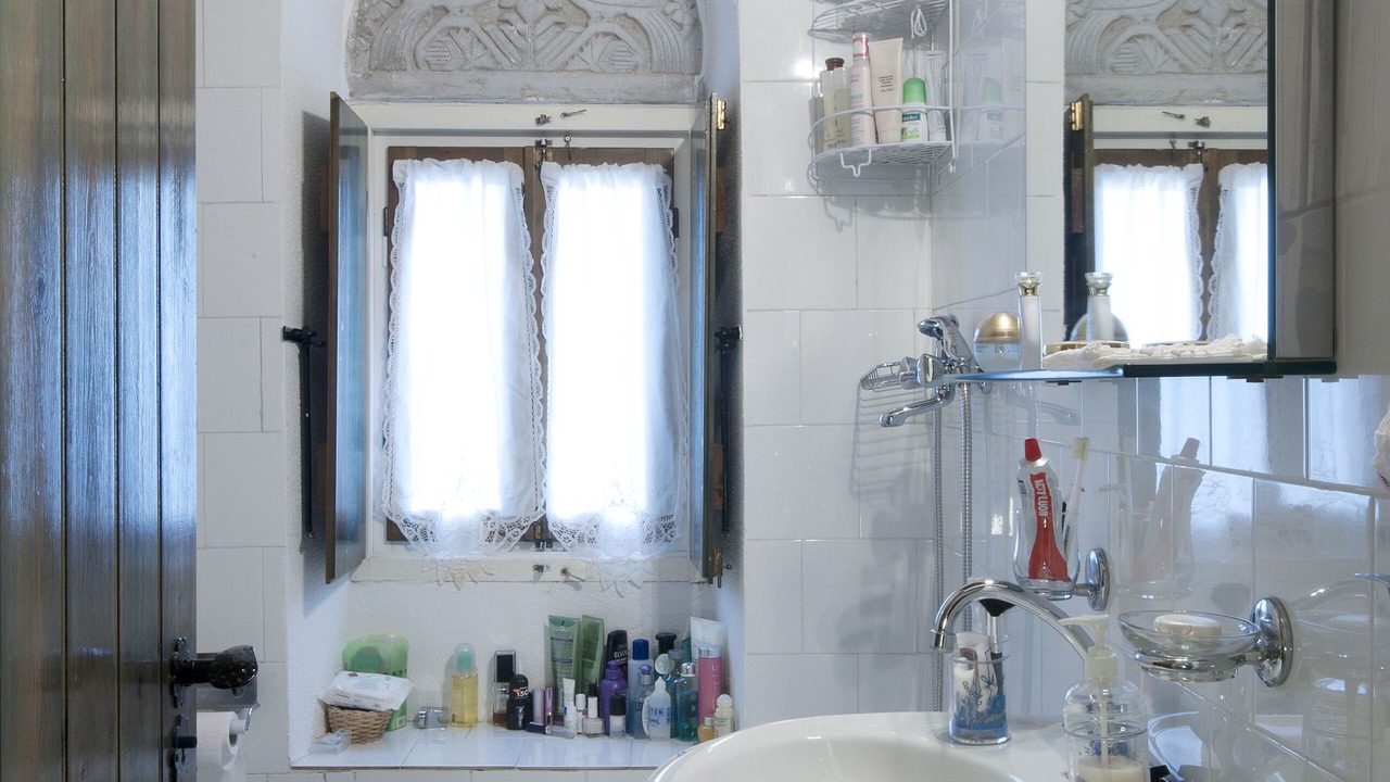 Photo of Bathroom in Skroponeria