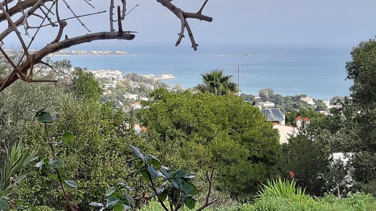 Photo of Outdoor in Spata-Artemida