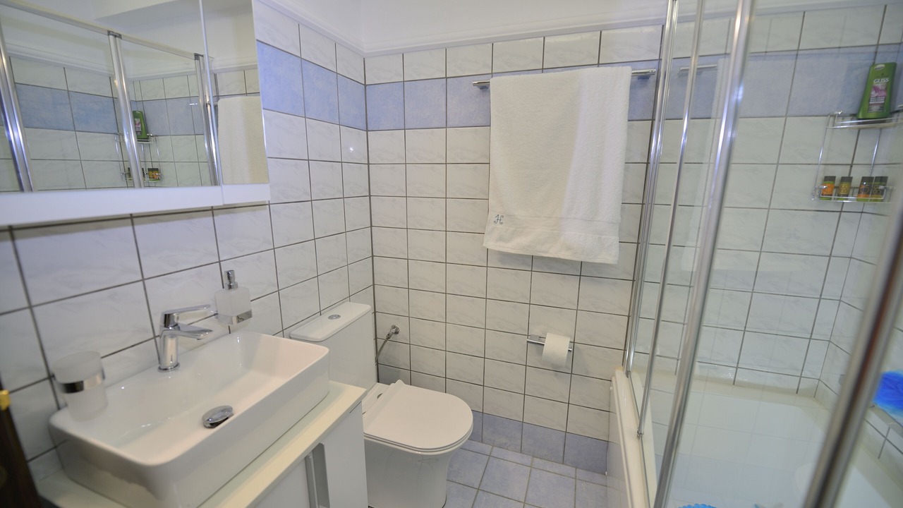 Photo of Bathroom in Platanos