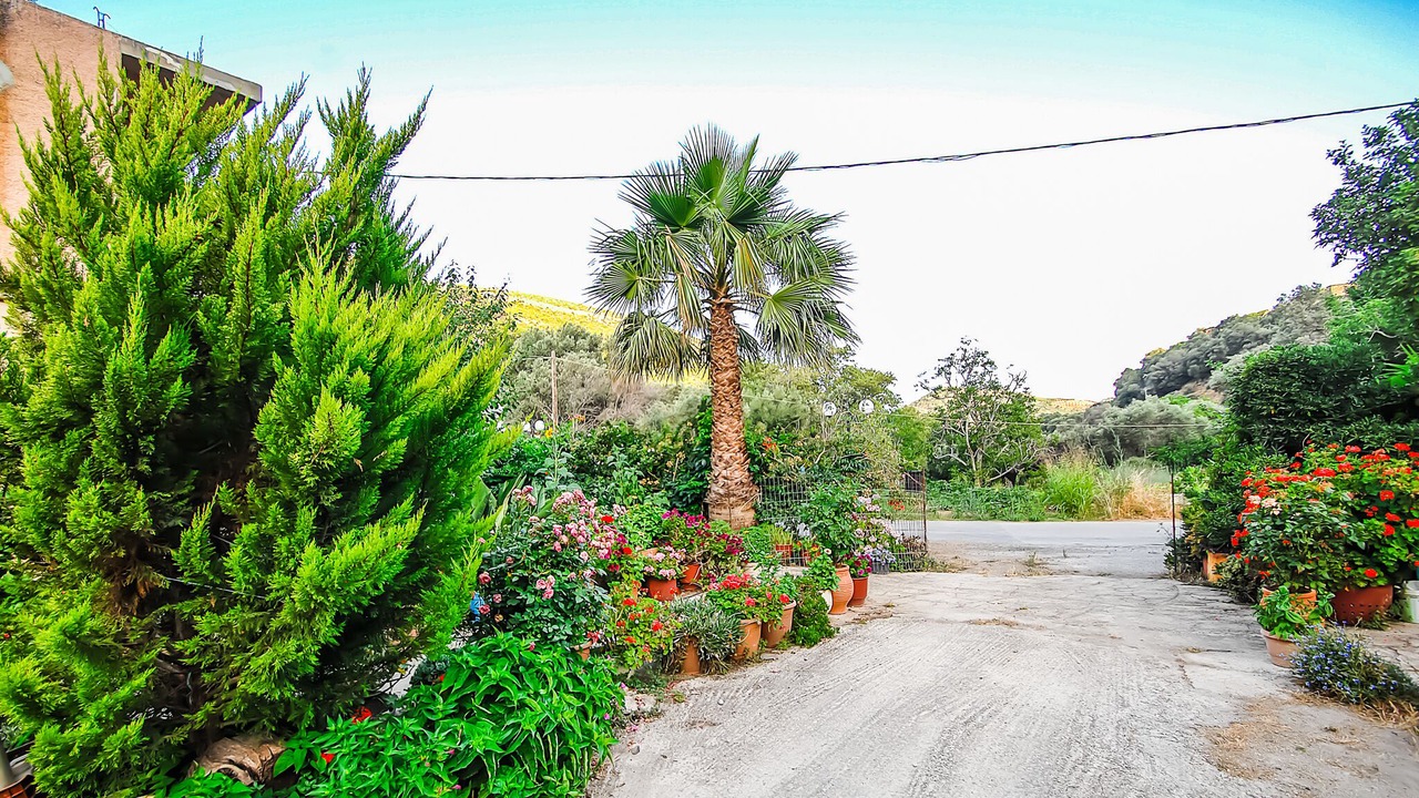 Photo of Outdoor in Livadia