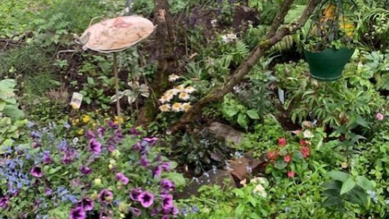 Photo of Outdoor in South Addition