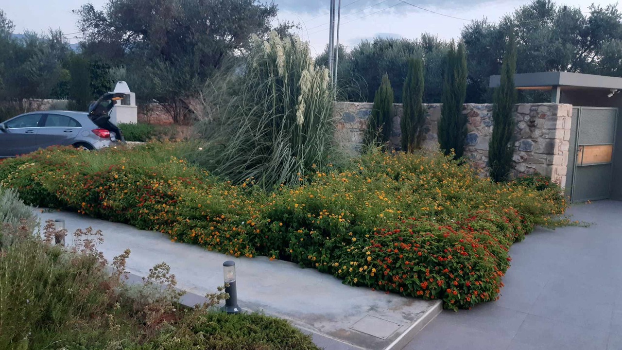 Photo of Outdoor in Agia