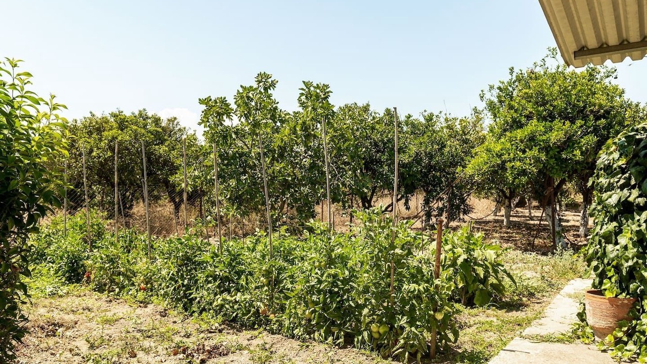Photo of Outdoor in Vrahati