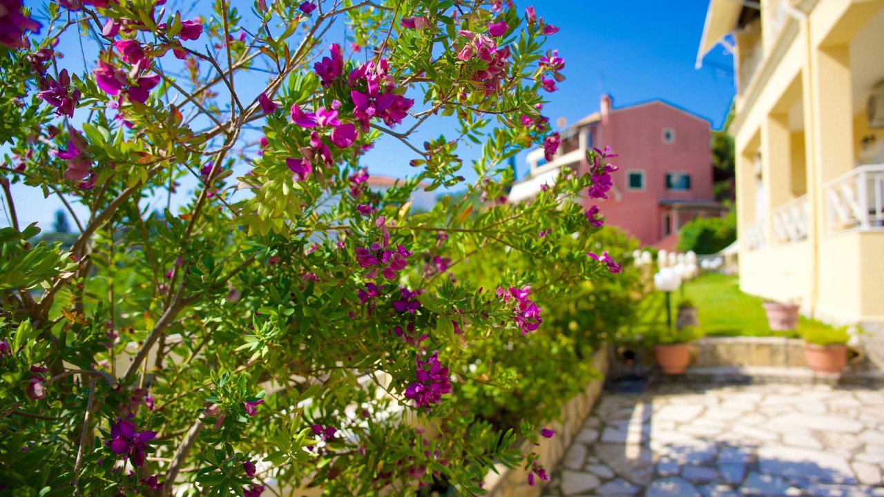 Photo of Outdoor in Perama