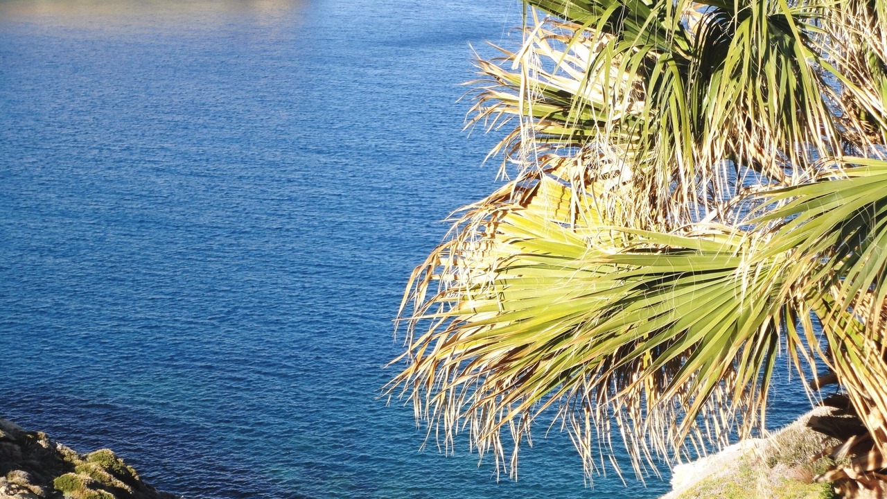 Photo of Others in Agia Pelagia