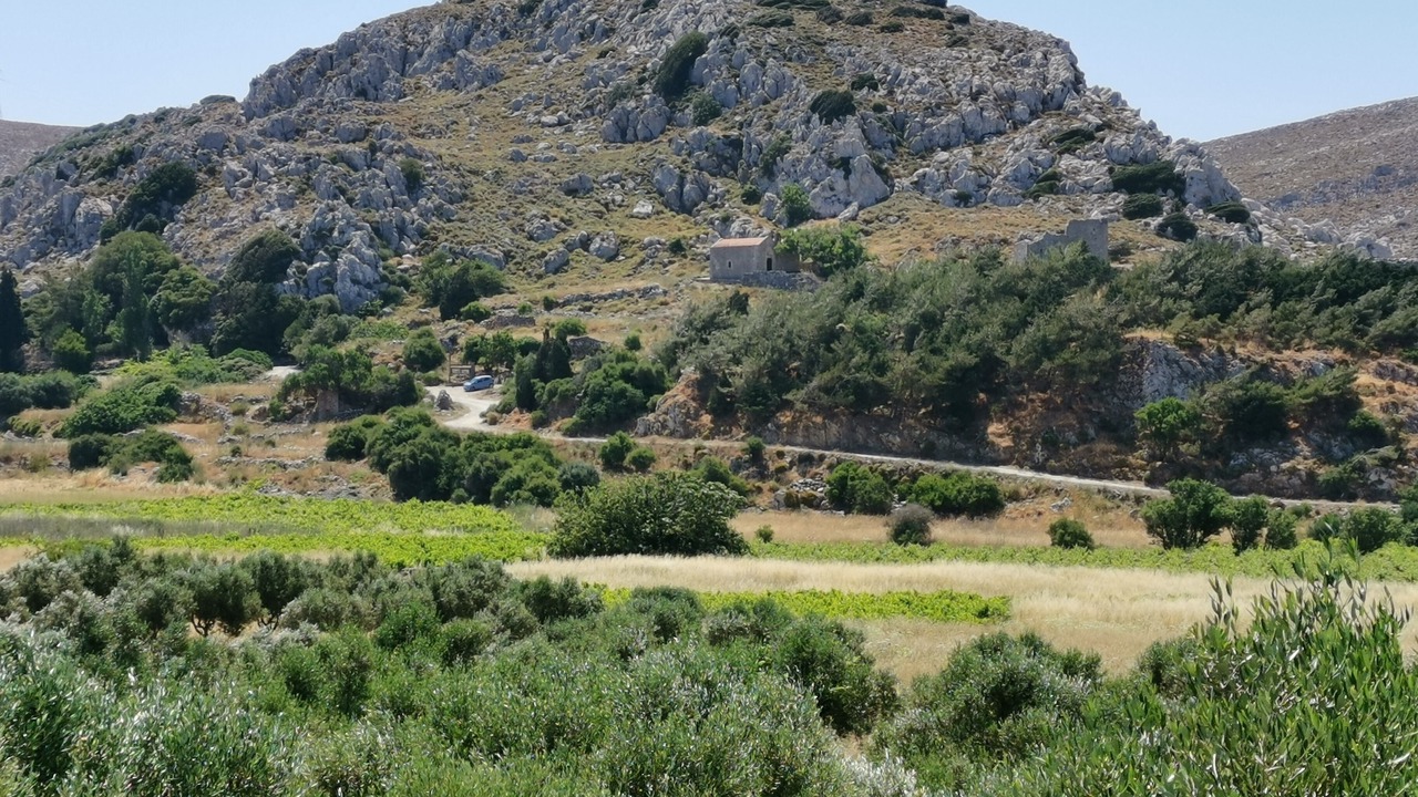 Photo of Others in Pefki
