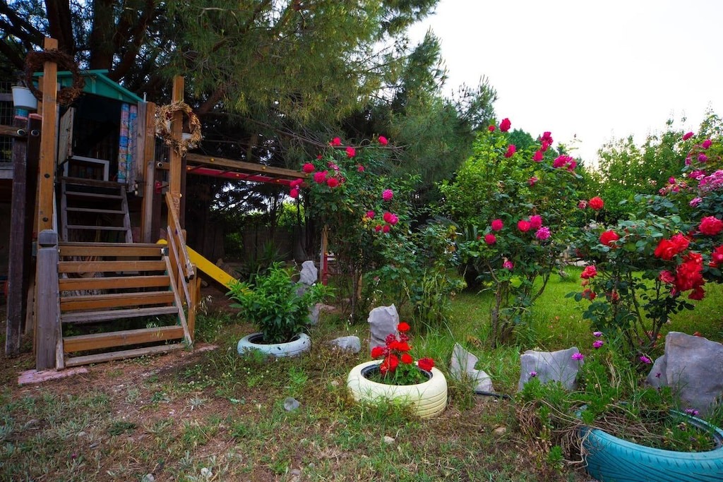 Photo of Others in Limnos