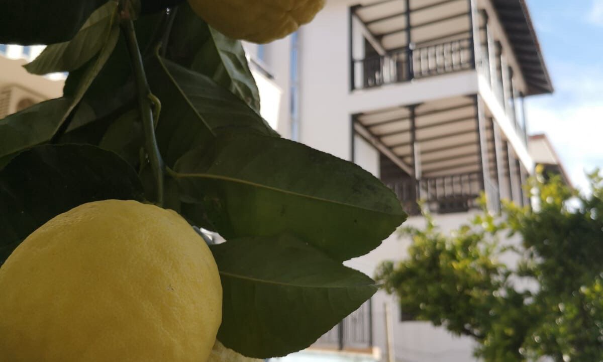 Photo of Outdoor in Psakoudia