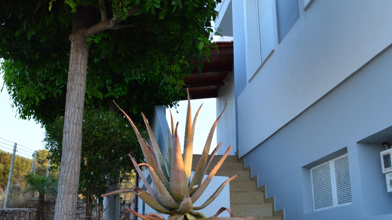 Photo of Outdoor in Karteros