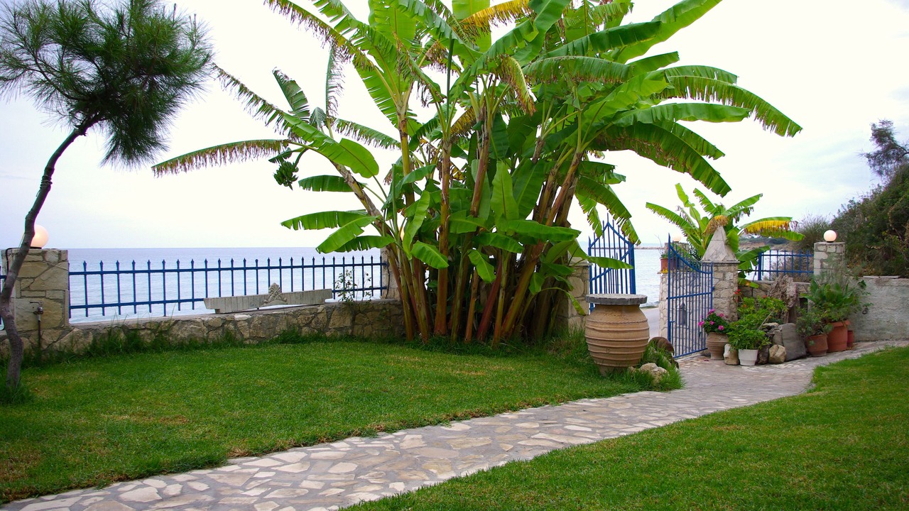 Photo of Outdoor in Psarou