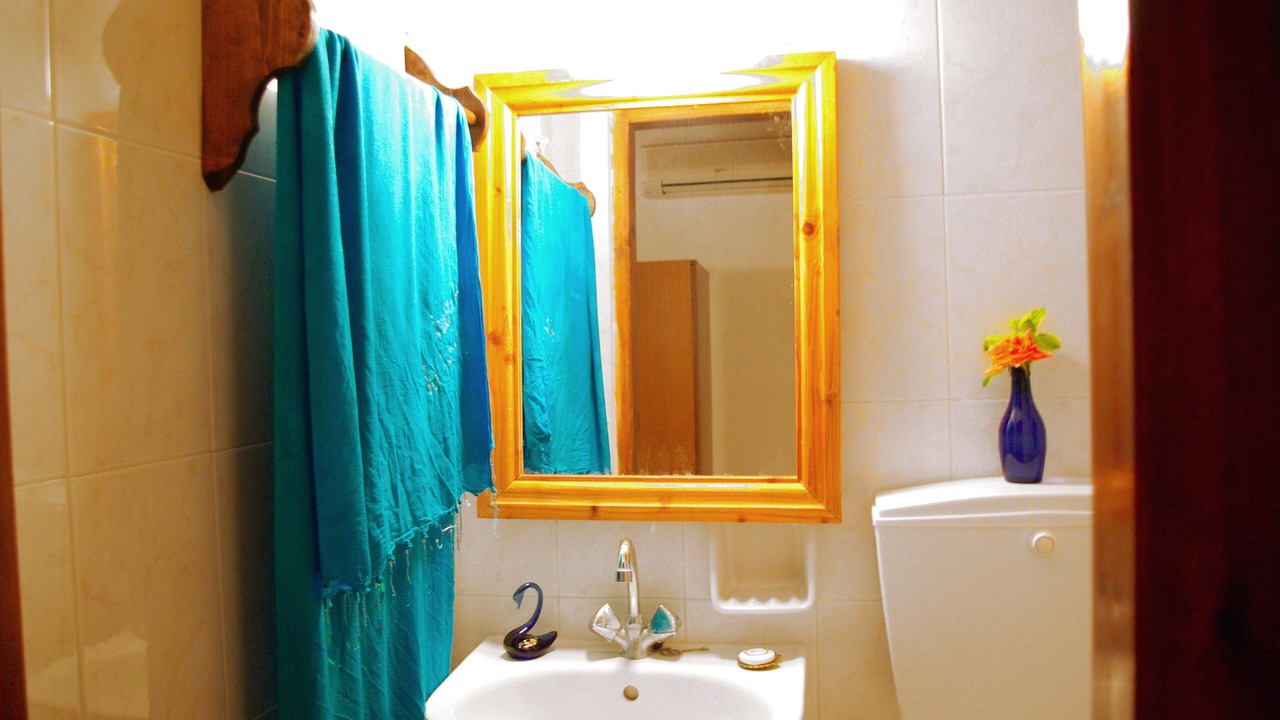 Photo of Bathroom in Psarou