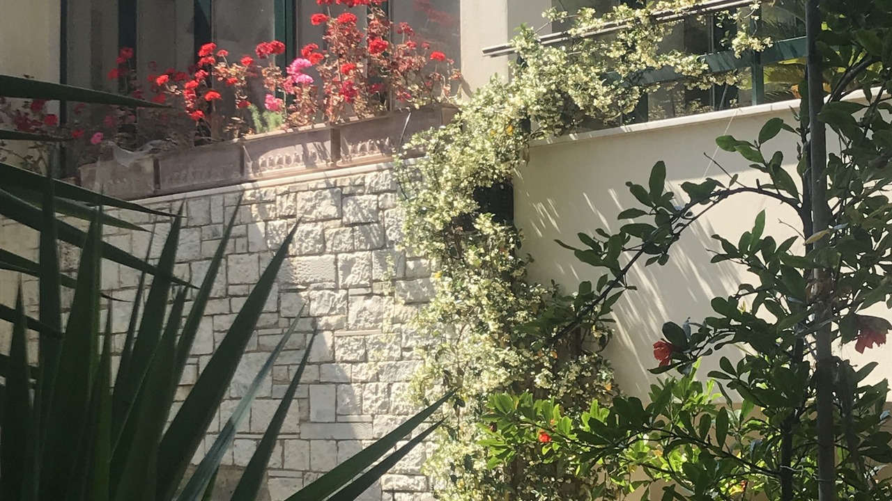 Photo of Outdoor in Palaio Psychiko