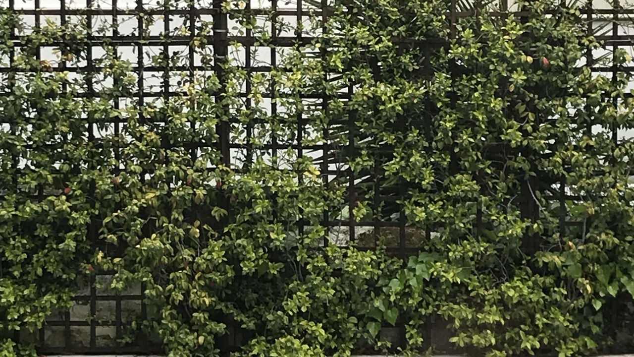 Photo of Outdoor in Palaio Psychiko