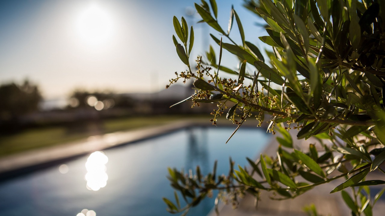Photo of Outdoor in Neapoli