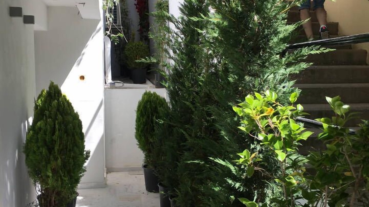 Photo of Outdoor in Pangrati