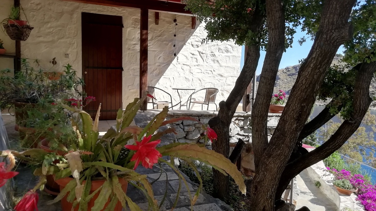 Photo of Others in Hydra