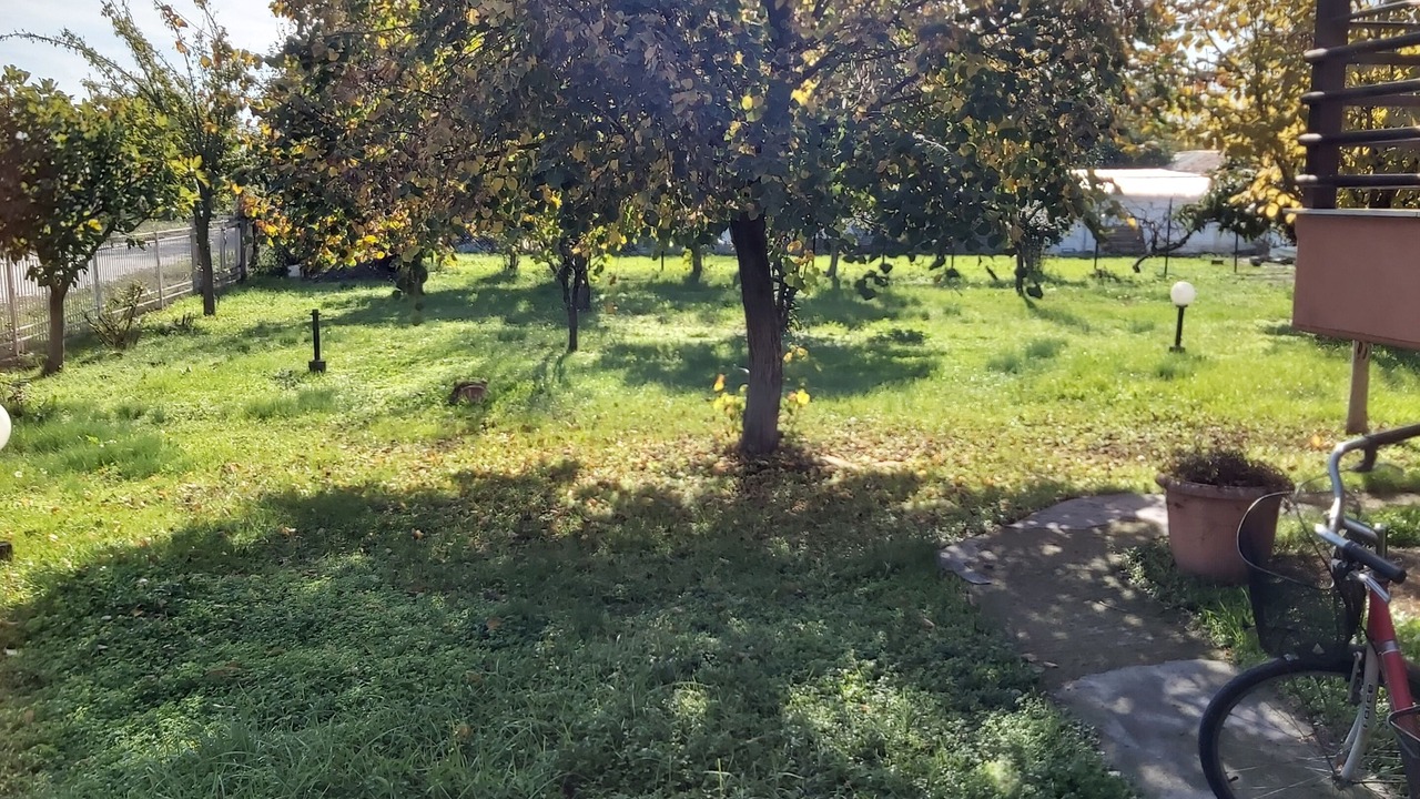 Photo of Outdoor in Fiki