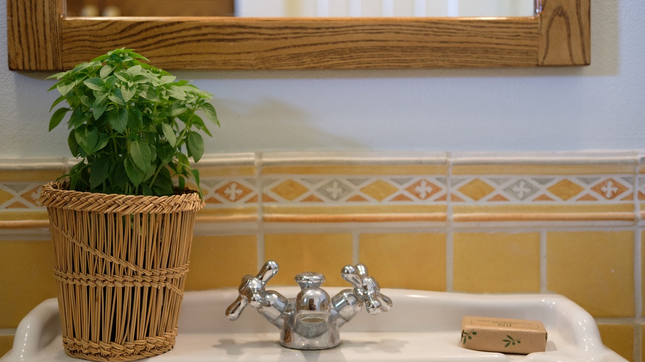 Photo of Bathroom in Stelida