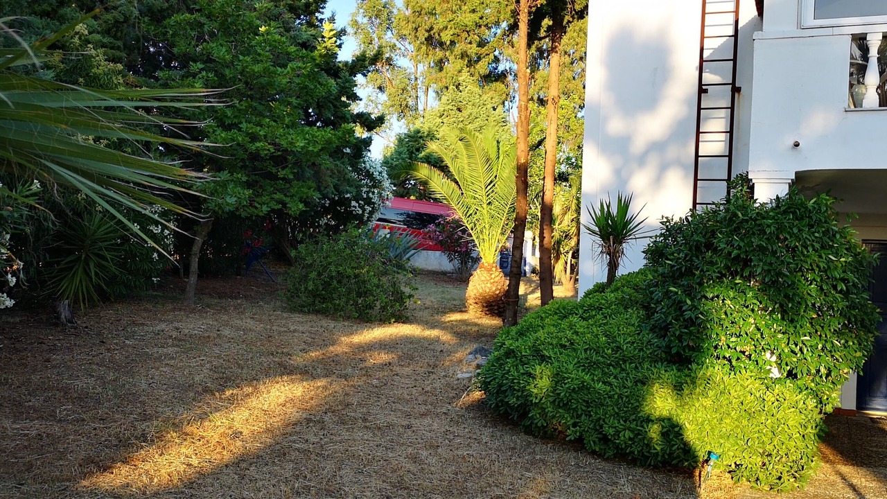 Photo of Outdoor in Kiparissia