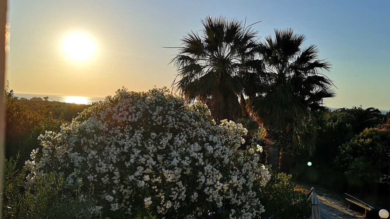 Photo of Others in Kiparissia