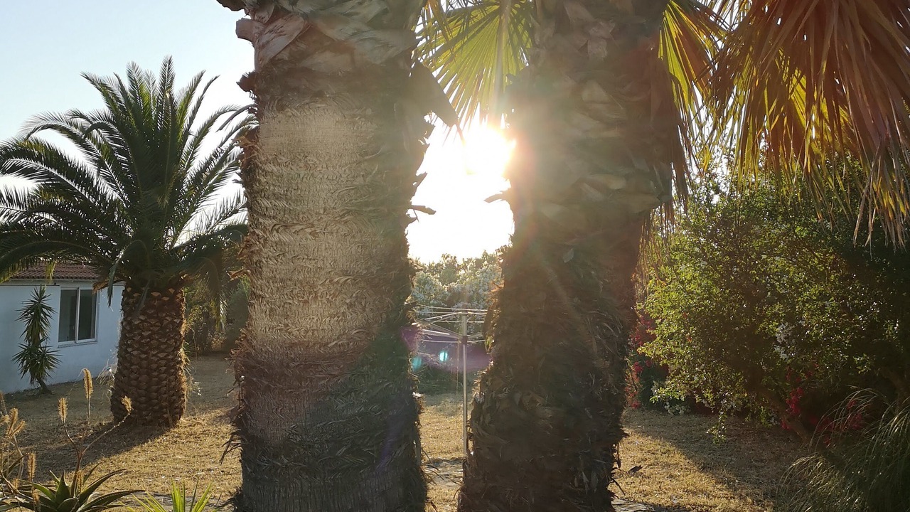 Photo of Outdoor in Kiparissia