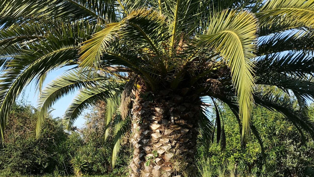 Photo of Outdoor in Kiparissia