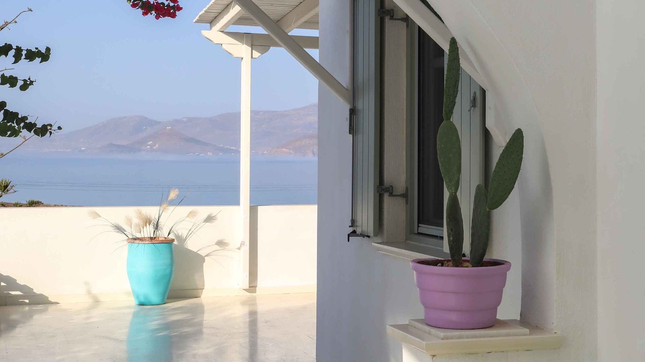 Photo of Outdoor in Stelida