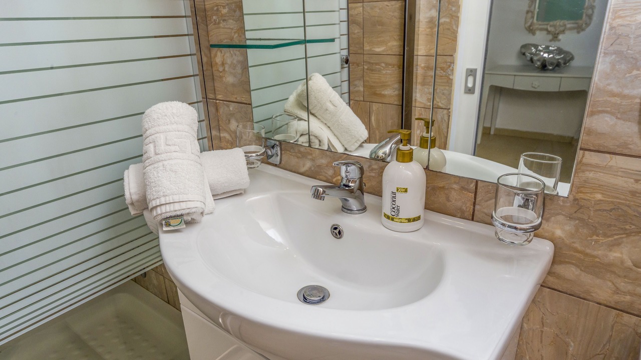 Photo of Bathroom in Notos
