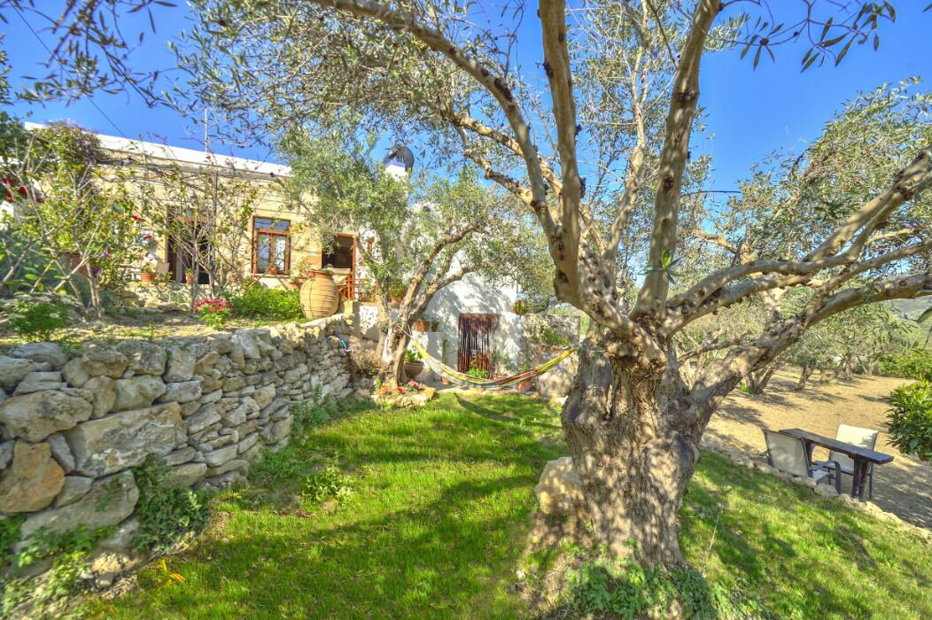 Photo of Outdoor in Platanos