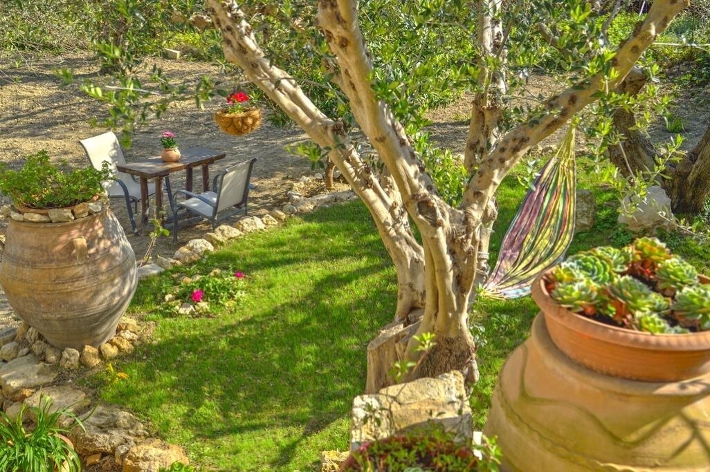 Photo of Outdoor in Platanos