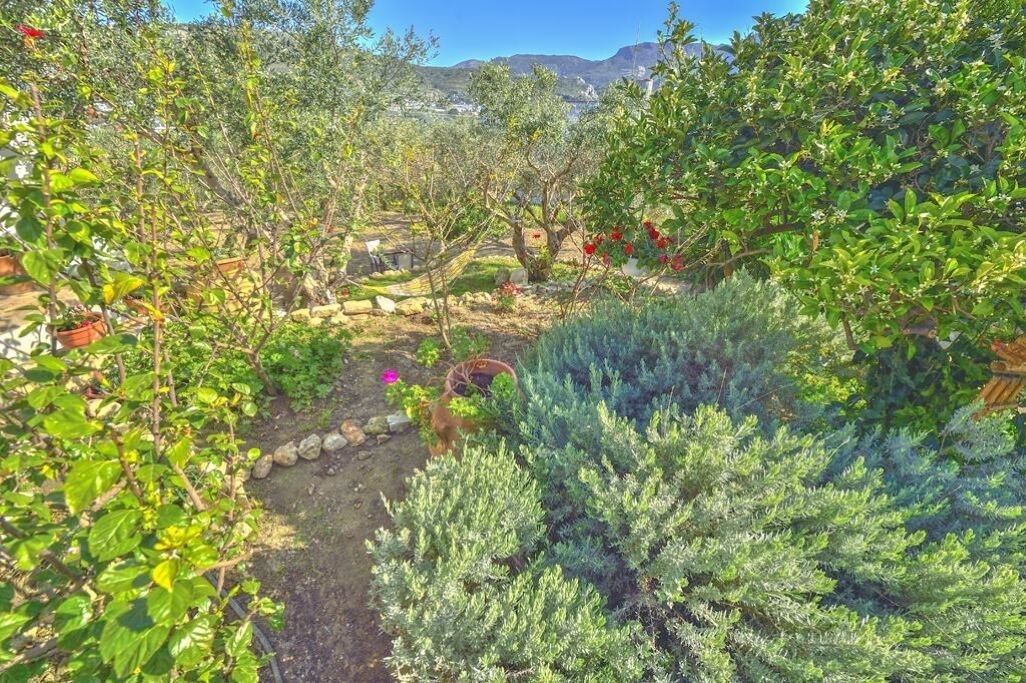 Photo of Outdoor in Platanos