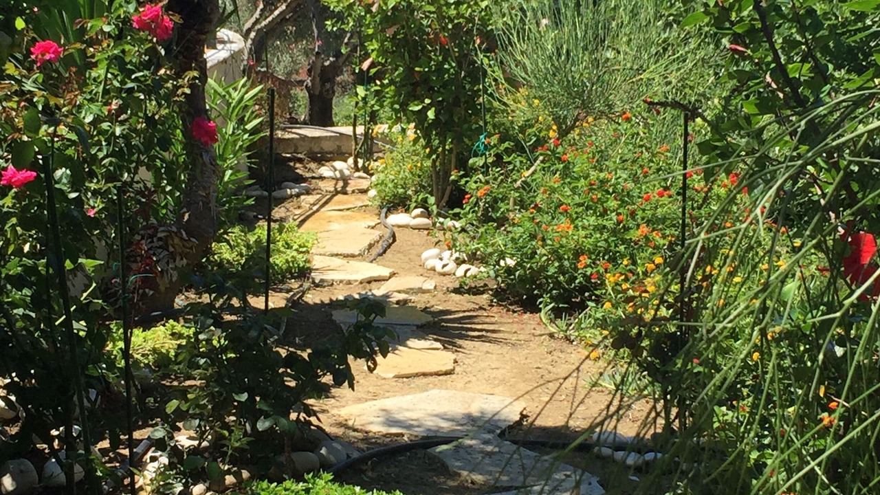 Photo of Outdoor in Kaligata