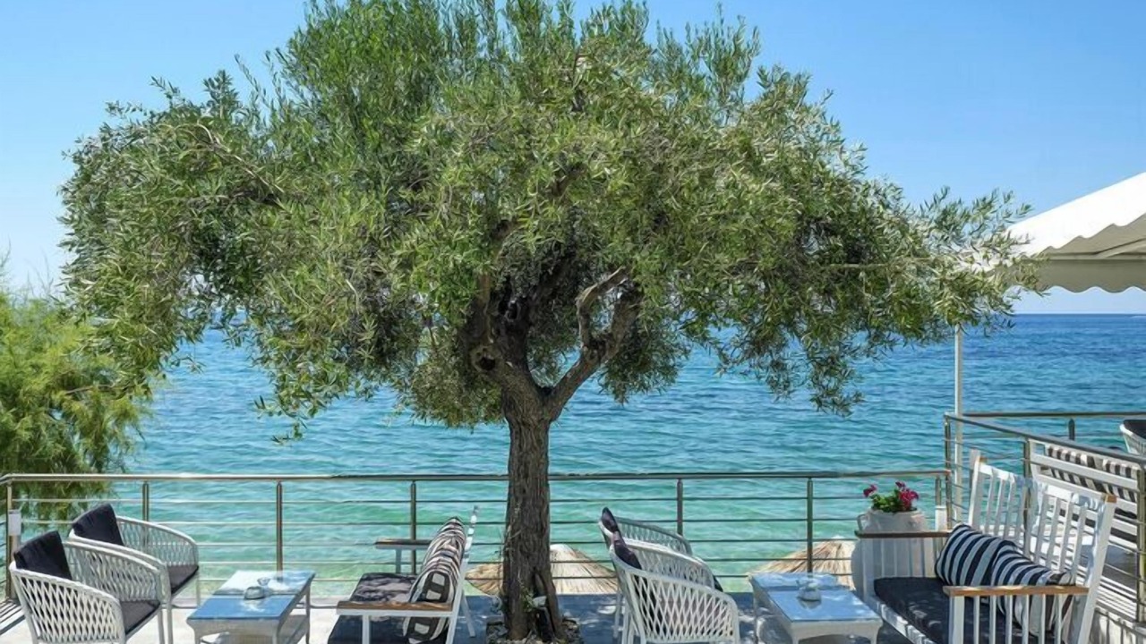 Photo of Others in Elia Nikitis