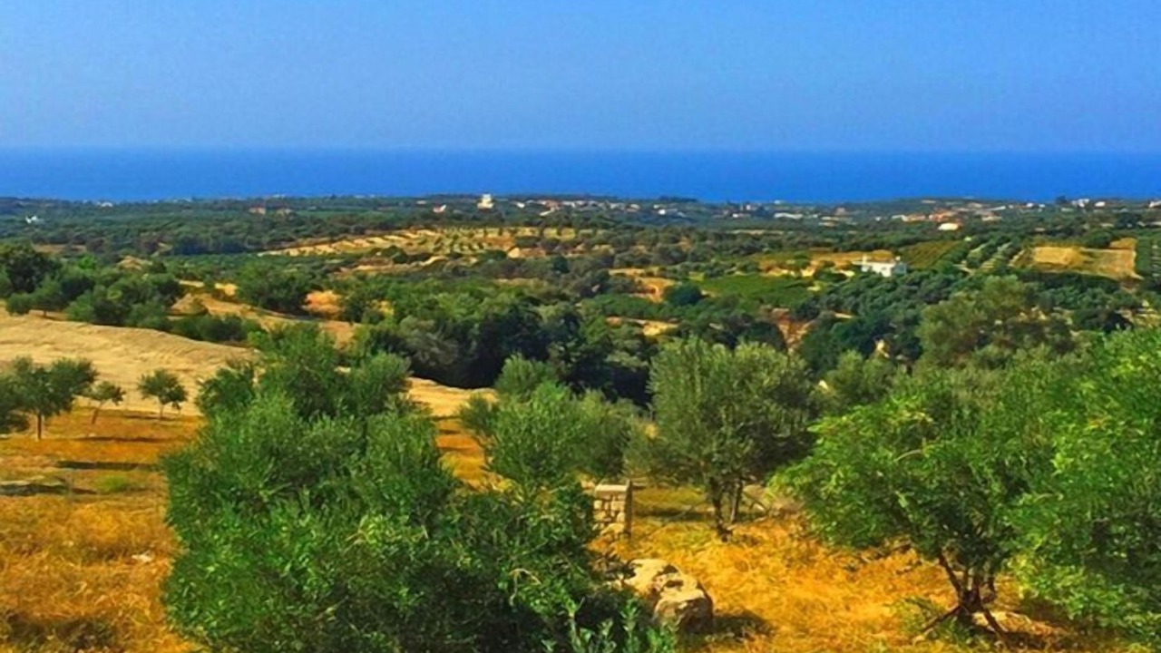 Photo of Outdoor in Kirianna