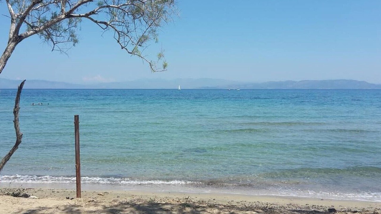 Photo of Others in Aegina