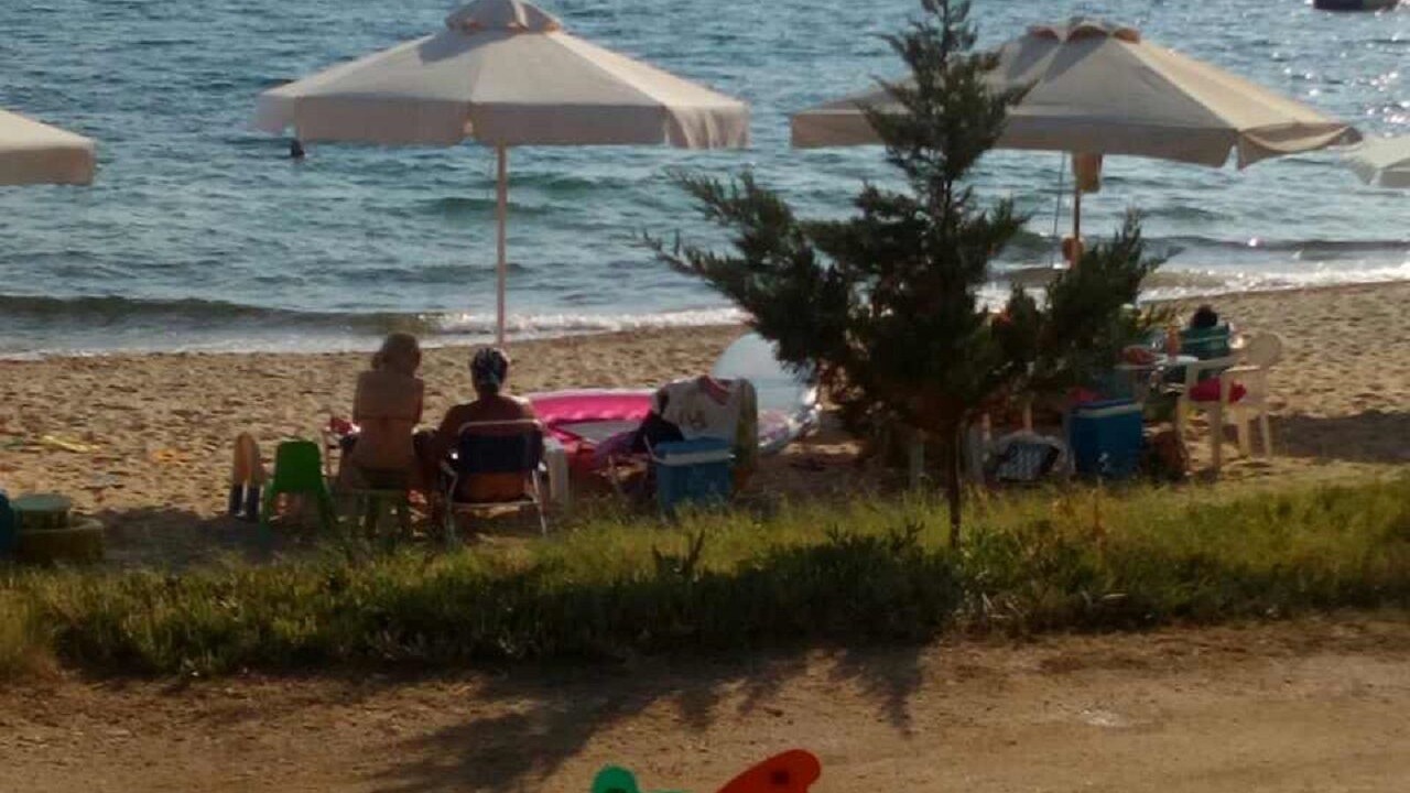 Photo of Others in Nikita