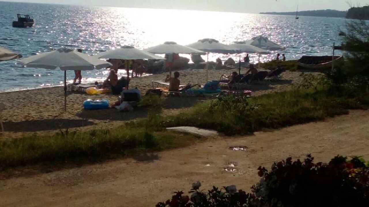 Photo of Others in Nikita
