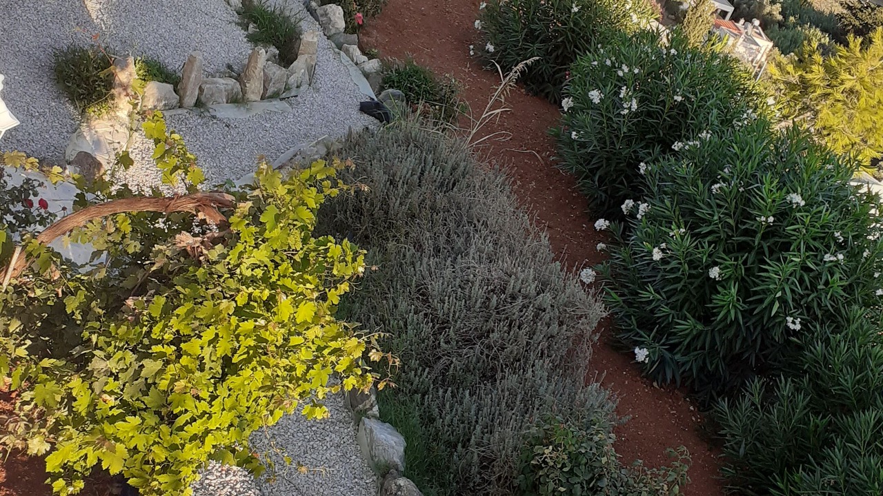 Photo of Outdoor in Pitsidia