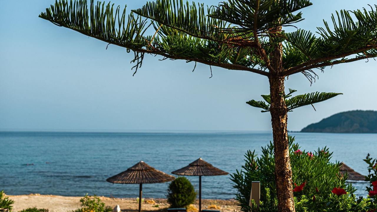 Photo of Outdoor in Vasilikos