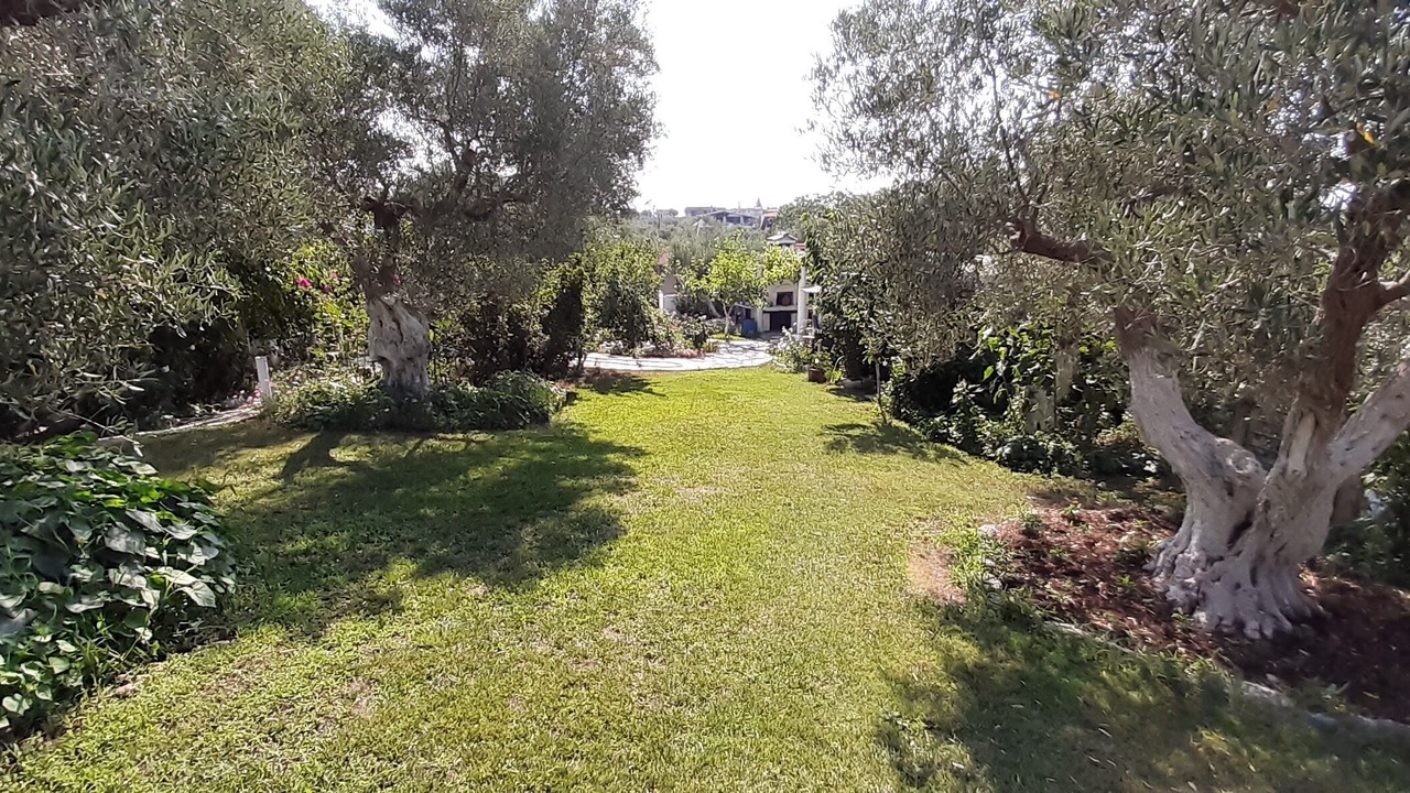 Photo of Outdoor in Alexandroupoli