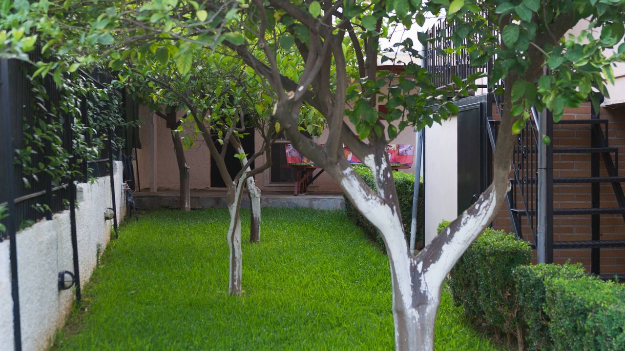 Photo of Outdoor in Lampiri