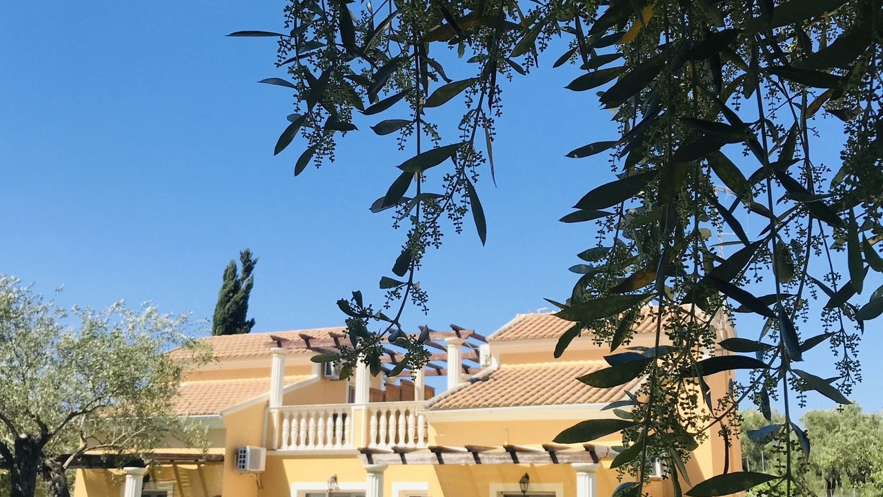 Photo of Outdoor in Roda