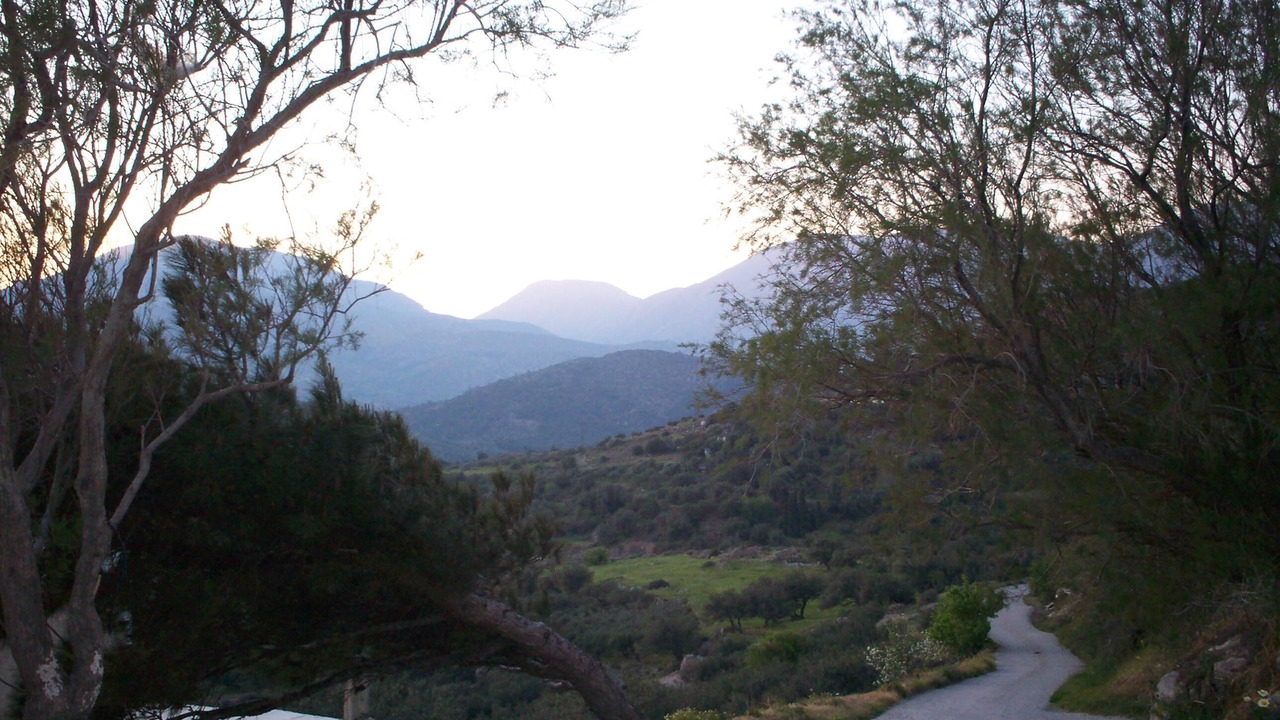 Photo of Others in Ayios Stefanos