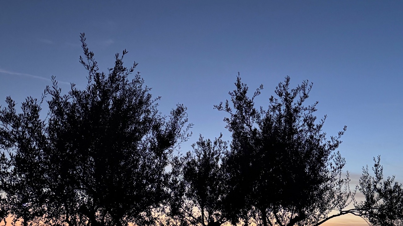 Photo of Outdoor in Paralia Vergas