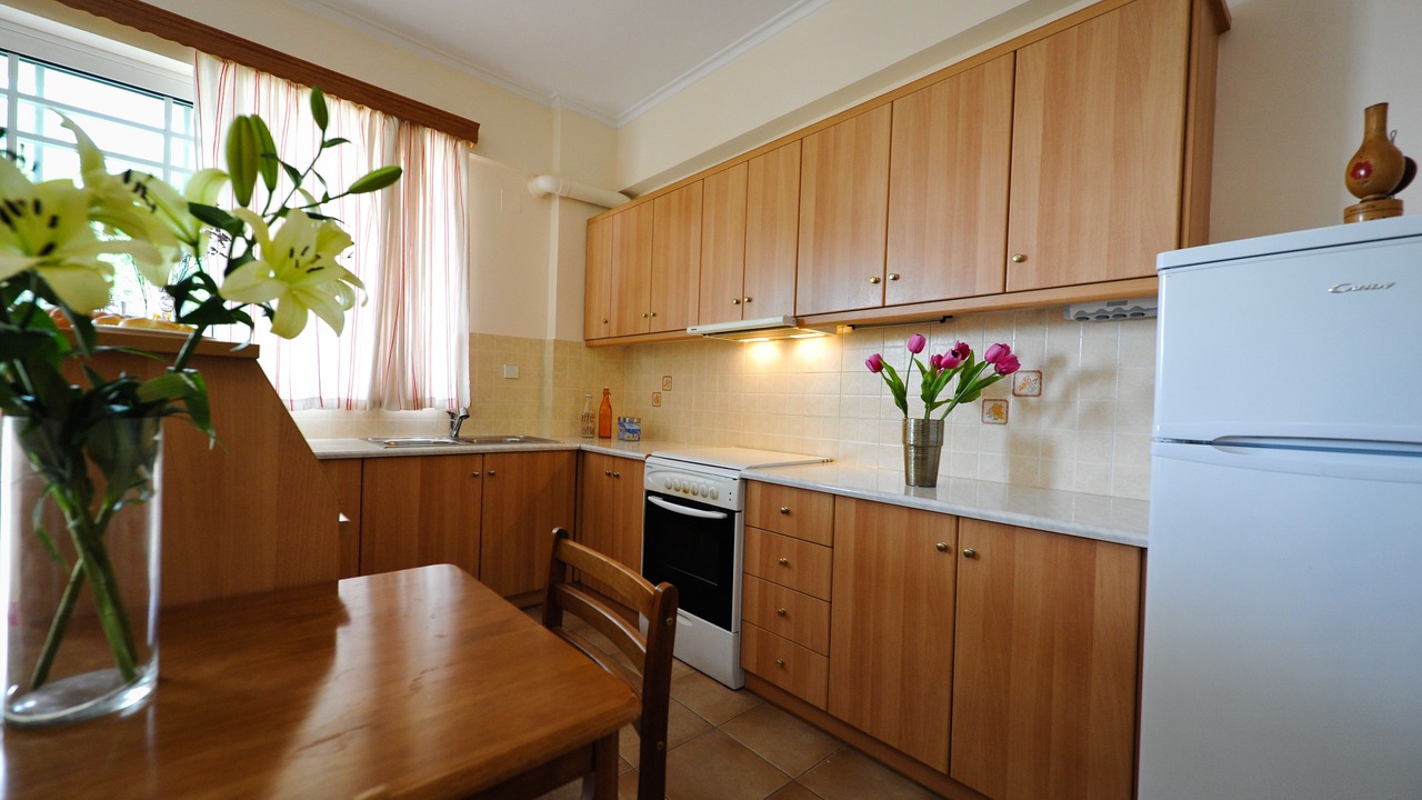 Photo of Kitchen in Paralia Vergas