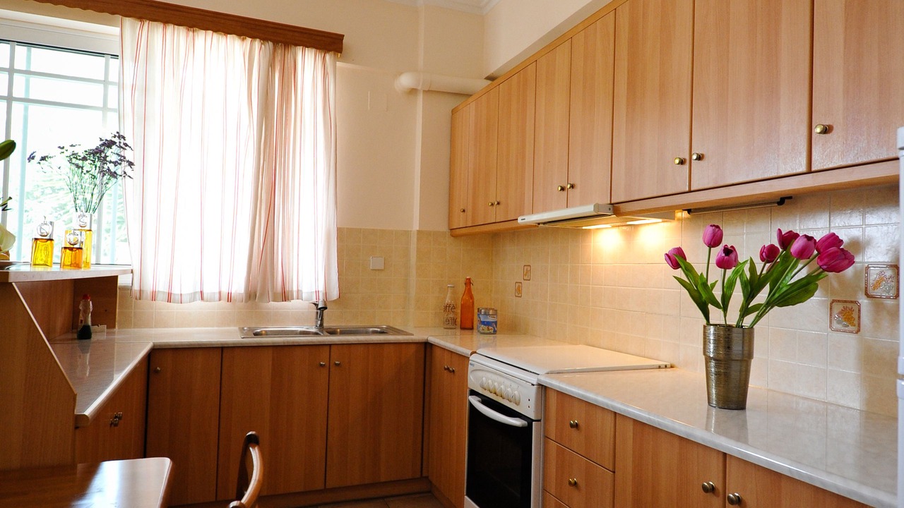 Photo of Kitchen in Paralia Vergas